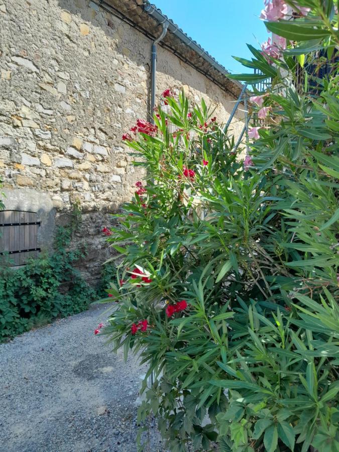 La Terrasse Aux Hirondelles Maison 80M2 2 Chambres 2 Salles De Bains ラゴルス エクステリア 写真